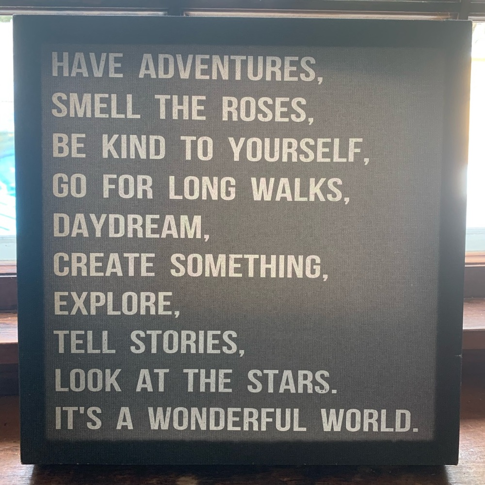 HAVE ADVENTURES... WONDERFUL WORLD canvas box sign